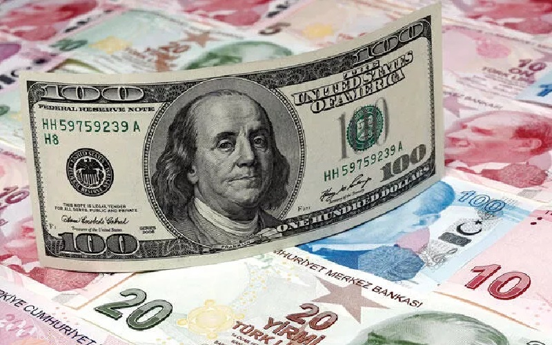 Централната банка на Турција во минус 25 милијарди долари