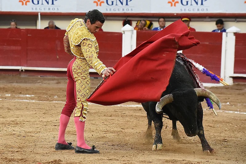Во Шпанија децата помлади од осум години ќе можат бесплатно да гледаат борби со бикови