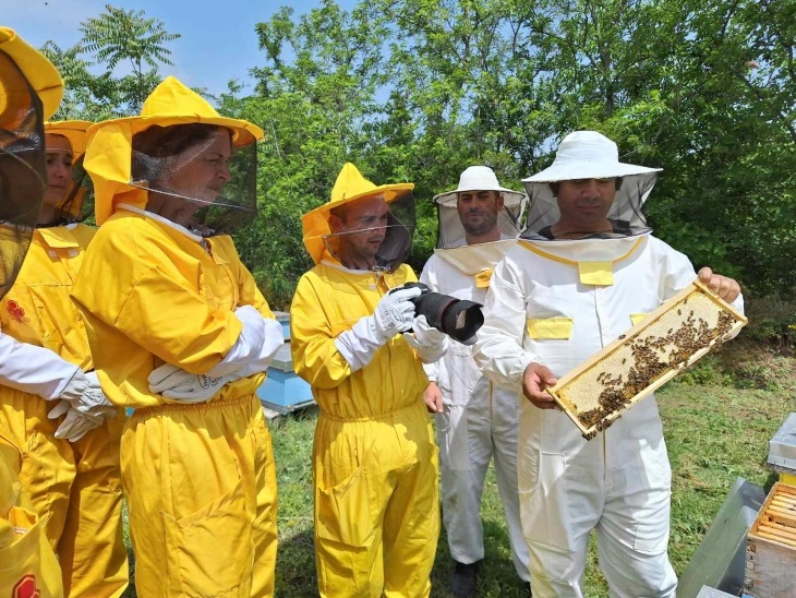 Пчеларници вклучени во туристичка понуда во Тиквешијата