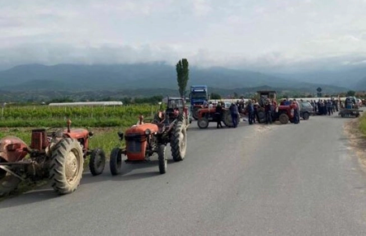 Земјоделци од селата Иловица и Штука го блокираа патот заради ниските откупни цени на младиот компир