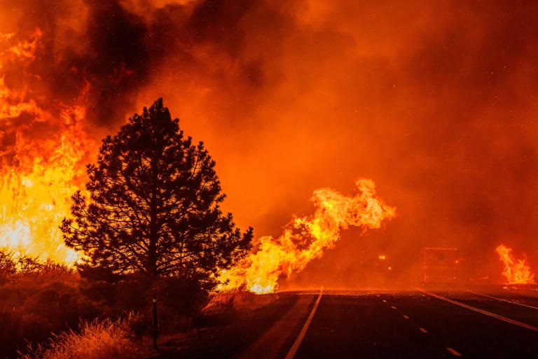 Голем пожар во Калифорнија – итна евакуација во четири реони