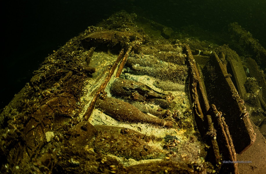 На дното на Балтикот пронајдени 100 шишиња шампањ стари 170 години