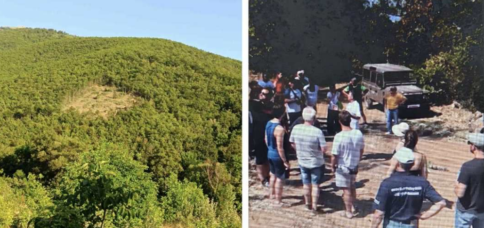 Полицијата казни учесник во протестот во Љубојно против масовната сеча