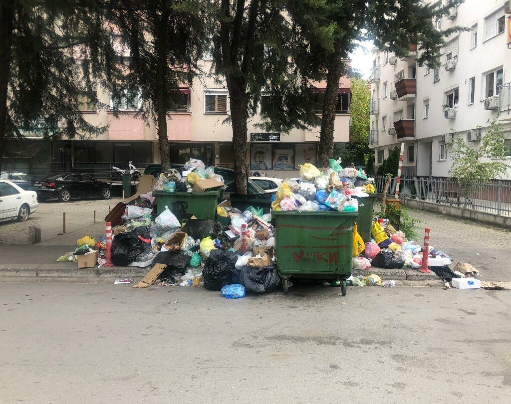 Покрај какви контејнери ќе поминеме в недела за гласањето?