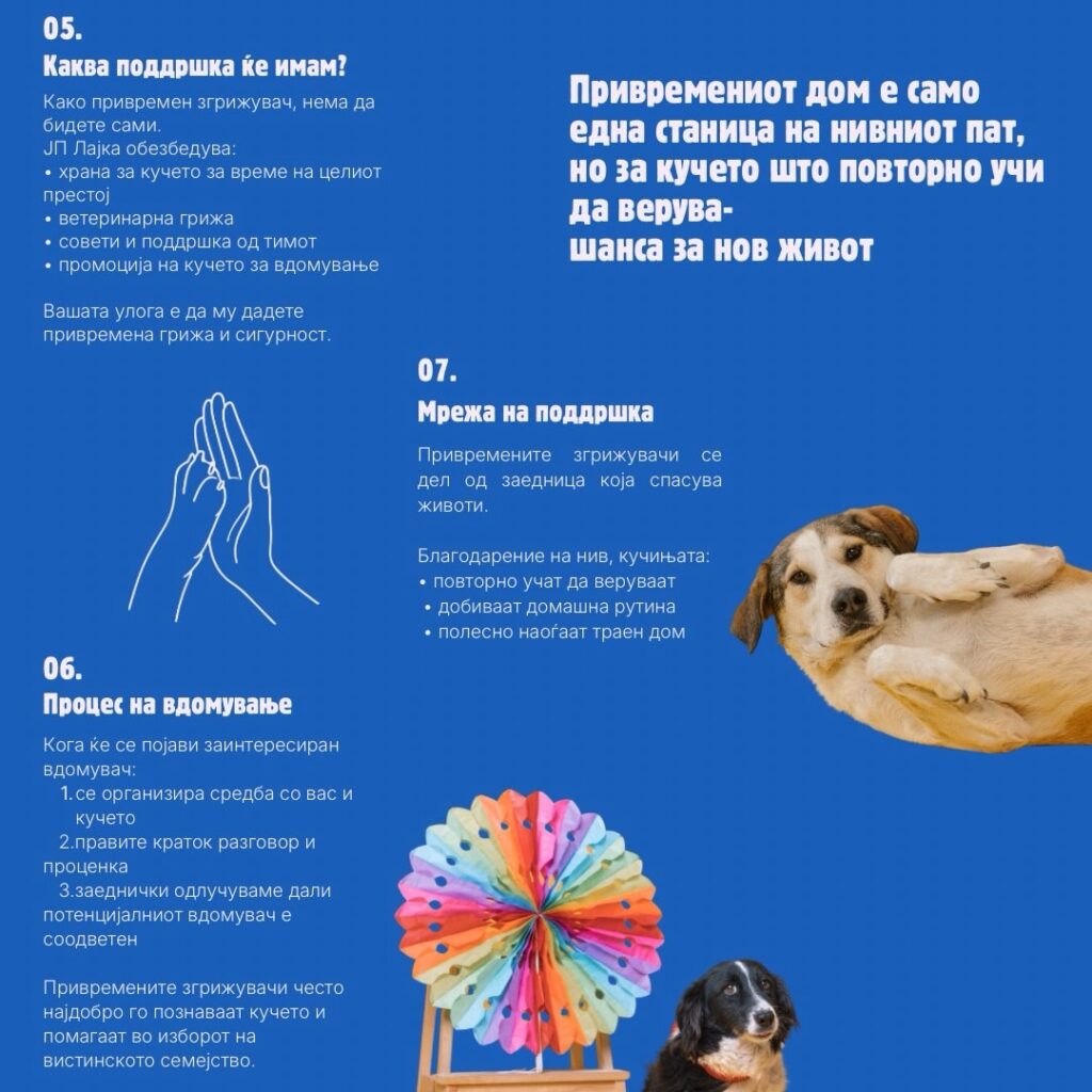 „Лајка“ со нова иницијатива за привремено згрижување на кучиња