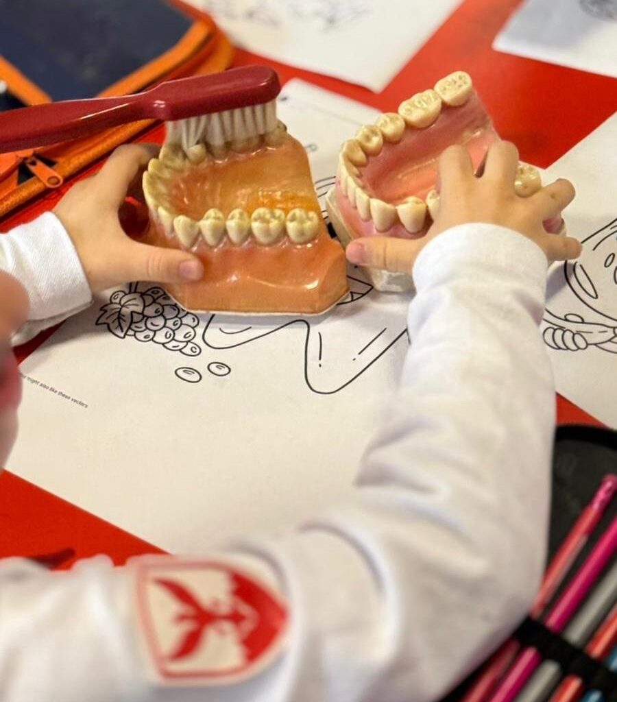 Бесплатни стоматолошки прегледи за децата и пензионерите – континуирана грижа за здрави насмевки