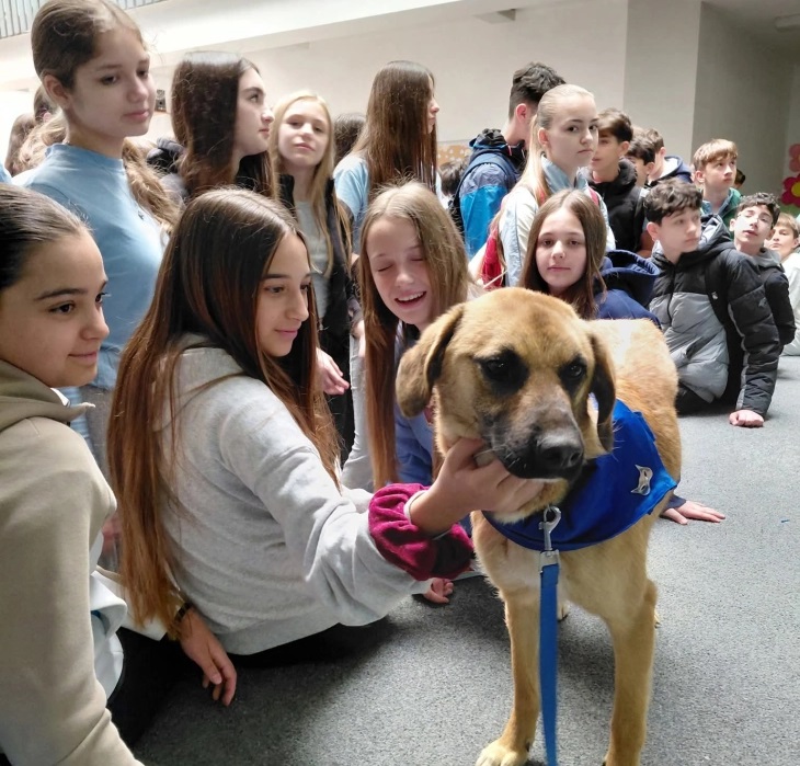 Едукативен караван на ЈП „Лајка“ – „Како да бидам одговорен сопстевеник на мојот миленик“