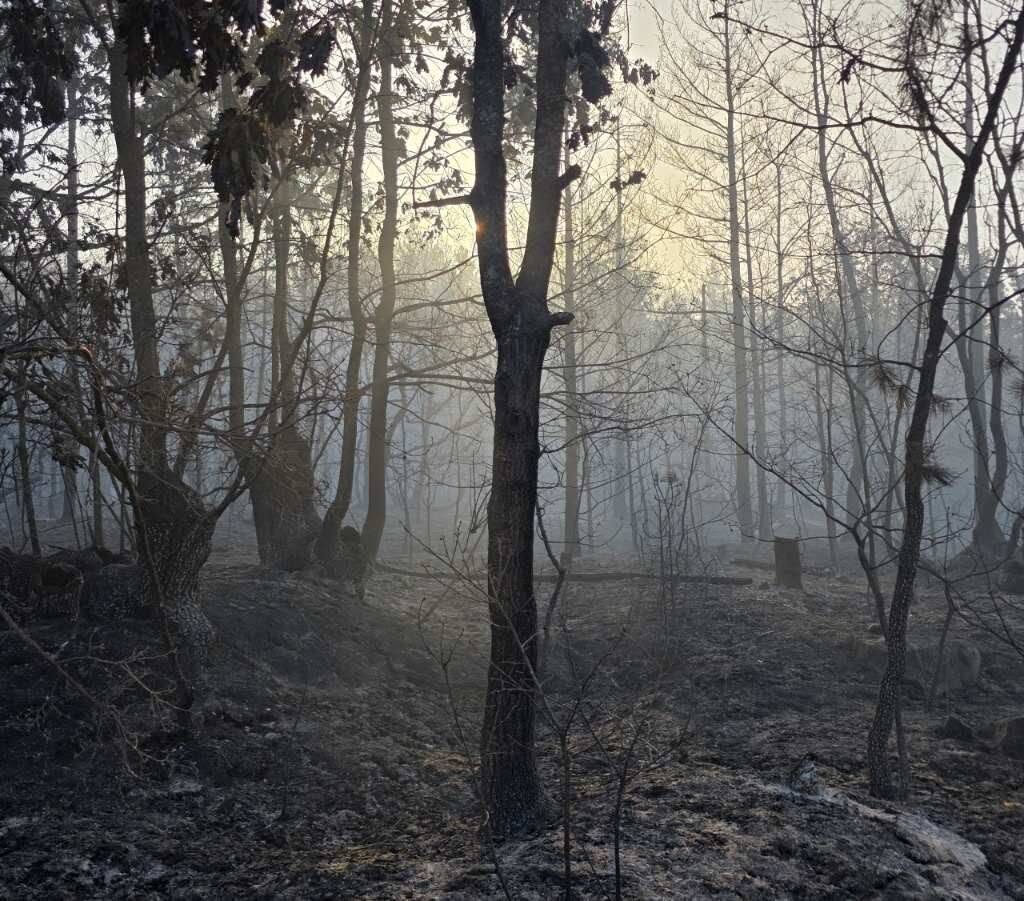 Двајца повредени при гаснењето на пожарот на Пелистер