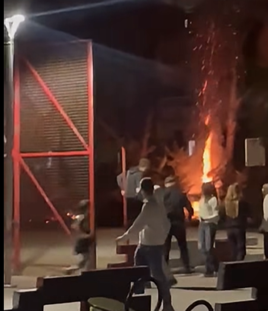 (Видео) Деца запалија дрво во сред Капиштец, МВР истражува што се случило